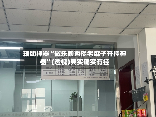 辅助神器“微乐陕西捉老麻子开挂神器”(透视)其实确实有挂-第2张图片