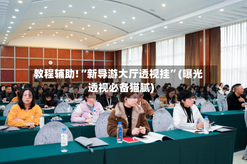 教程辅助!“新导游大厅透视挂”(曝光透视必备猫腻)-第2张图片