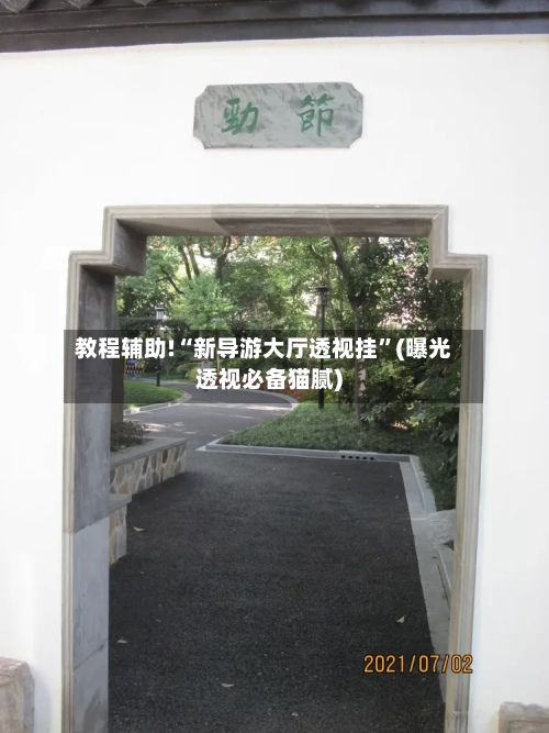 教程辅助!“新导游大厅透视挂	”(曝光透视必备猫腻)-第3张图片