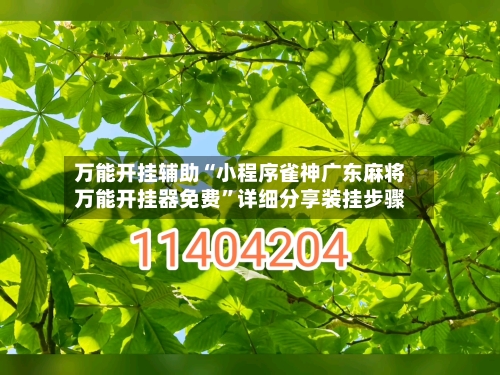 万能开挂辅助“小程序雀神广东麻将万能开挂器免费	”详细分享装挂步骤-第2张图片