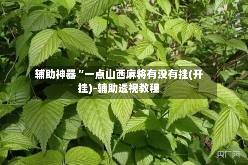 辅助神器“一点山西麻将有没有挂(开挂)-辅助透视教程-第2张图片
