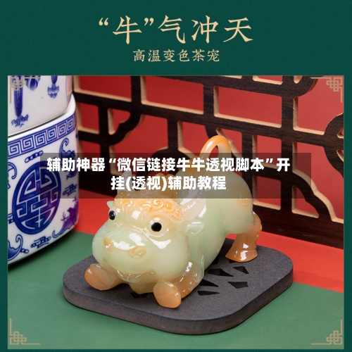 辅助神器“微信链接牛牛透视脚本”开挂(透视)辅助教程-第1张图片