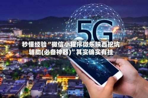 秒懂经验“微信小程序微乐陕西挖坑辅助(必备神器)	”其实确实有挂-第1张图片