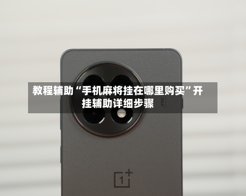 教程辅助“手机麻将挂在哪里购买”开挂辅助详细步骤-第1张图片