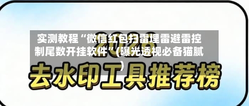 实测教程“微信红包扫雷埋雷避雷控制尾数开挂软件	”(曝光透视必备猫腻)-第1张图片