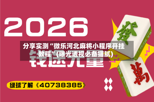 分享实测“微乐河北麻将小程序开挂教程”(曝光透视必备猫腻)-第3张图片