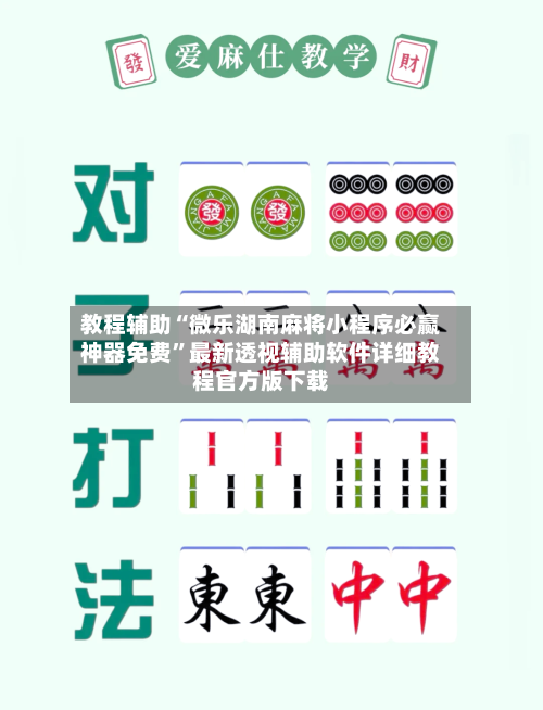 教程辅助“微乐湖南麻将小程序必赢神器免费”最新透视辅助软件详细教程官方版下载-第2张图片