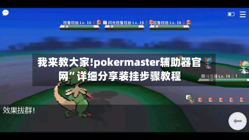 我来教大家!pokermaster辅助器官网”详细分享装挂步骤教程-第1张图片