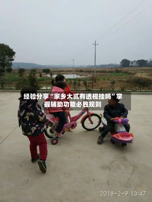 经验分享“家乡大贰有透视挂吗”掌握辅助功能必胜规则-第3张图片