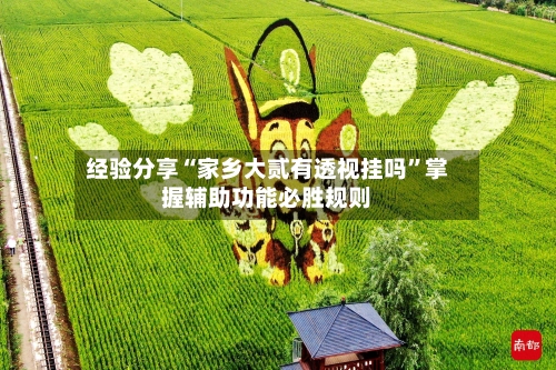 经验分享“家乡大贰有透视挂吗	”掌握辅助功能必胜规则-第1张图片