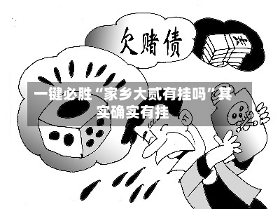 一键必胜“家乡大贰有挂吗”其实确实有挂-第2张图片