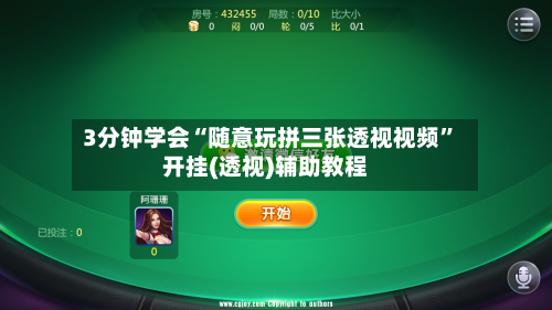 3分钟学会“随意玩拼三张透视视频”开挂(透视)辅助教程-第3张图片