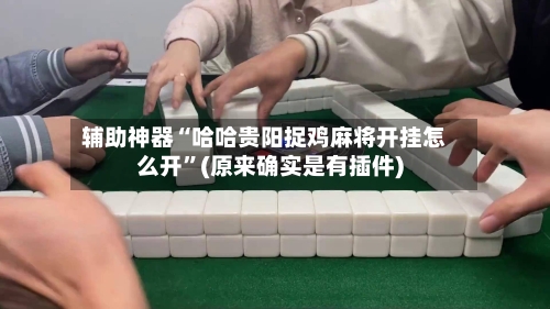 辅助神器“哈哈贵阳捉鸡麻将开挂怎么开”(原来确实是有插件)-第2张图片