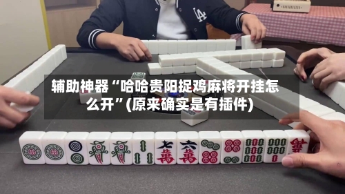 辅助神器“哈哈贵阳捉鸡麻将开挂怎么开”(原来确实是有插件)-第3张图片