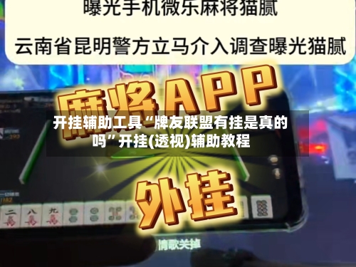 开挂辅助工具“牌友联盟有挂是真的吗”开挂(透视)辅助教程-第1张图片