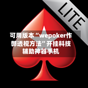 可用版本“wepoker作弊透视方法	”开挂科技辅助神器手机-第3张图片