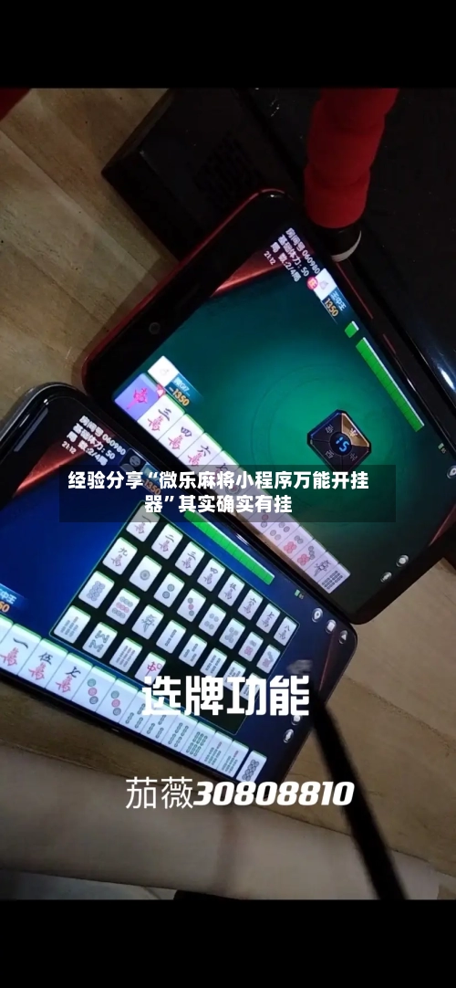 经验分享“微乐麻将小程序万能开挂器	”其实确实有挂-第2张图片