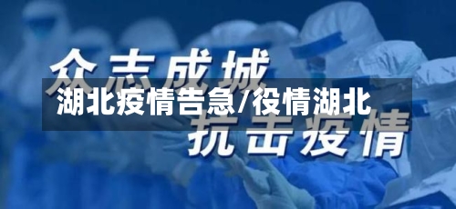 湖北疫情告急/役情湖北-第2张图片
