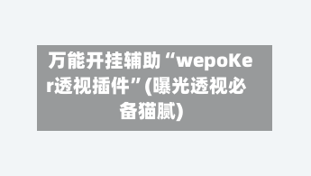 万能开挂辅助“wepoKer透视插件”(曝光透视必备猫腻)-第1张图片