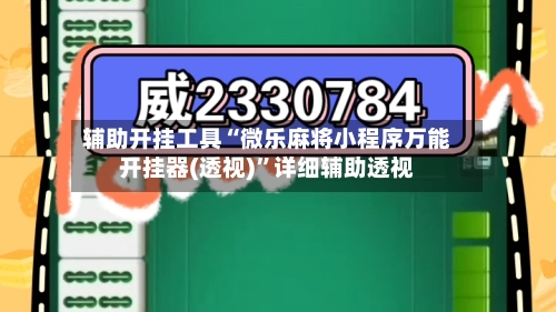 辅助开挂工具“微乐麻将小程序万能开挂器(透视)”详细辅助透视-第3张图片