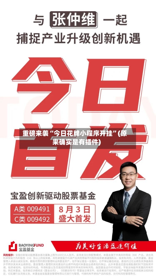 重磅来袭“今日花牌小程序开挂”(原来确实是有插件)-第2张图片