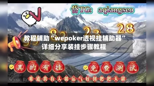 教程辅助“wepoker透视挂辅助器”详细分享装挂步骤教程-第2张图片