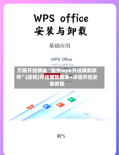 万能开挂辅助“德州wpk开挂辅助软件”(透视)开挂辅助脚本+详细开挂安装教程-第2张图片