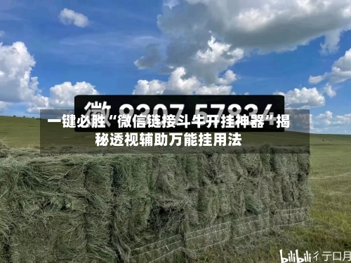 一键必胜“微信链接斗牛开挂神器	”揭秘透视辅助万能挂用法-第2张图片