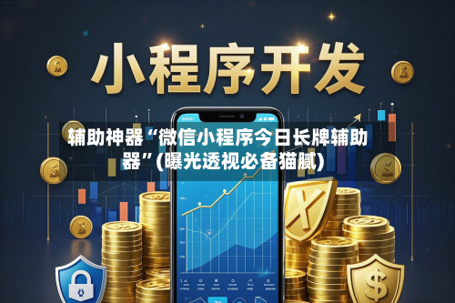 辅助神器“微信小程序今日长牌辅助器”(曝光透视必备猫腻)-第2张图片