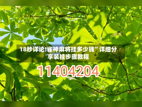 18秒详论!雀神麻将挂多少钱	”详细分享装挂步骤教程-第2张图片