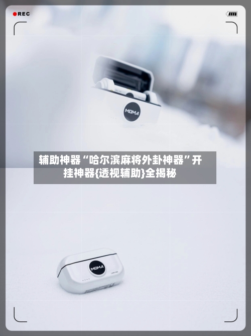 辅助神器“哈尔滨麻将外卦神器	”开挂神器{透视辅助}全揭秘-第3张图片