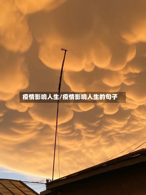 疫情影响人生/疫情影响人生的句子-第2张图片