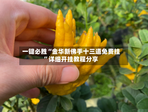 一键必胜“金华新佛手十三道免费挂	”详细开挂教程分享-第2张图片