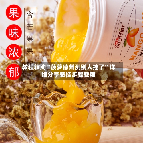 教程辅助“菠萝德州测别人挂了”详细分享装挂步骤教程-第3张图片