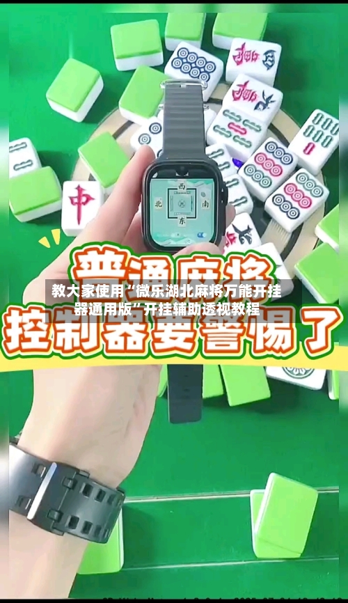 教大家使用“微乐湖北麻将万能开挂器通用版”开挂辅助透视教程-第3张图片