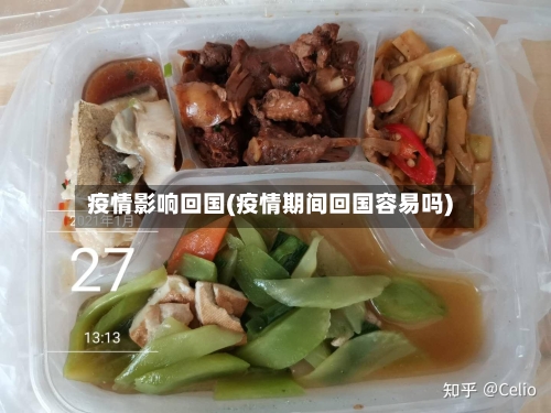 疫情影响回国(疫情期间回国容易吗)-第2张图片