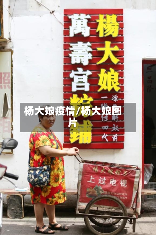 杨大娘疫情/杨大娘图片-第1张图片