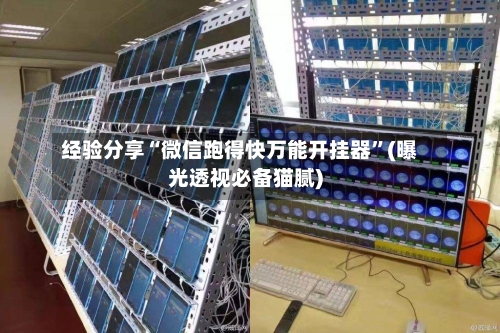 经验分享“微信跑得快万能开挂器”(曝光透视必备猫腻)-第2张图片