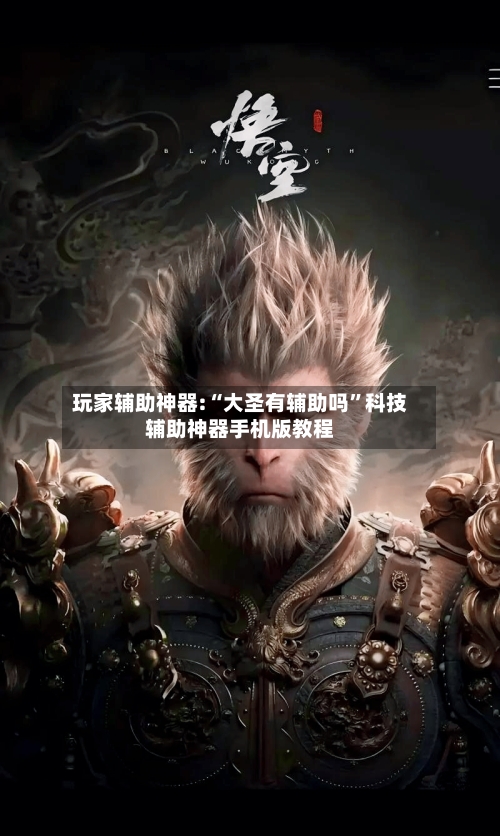 玩家辅助神器:“大圣有辅助吗	”科技辅助神器手机版教程-第2张图片