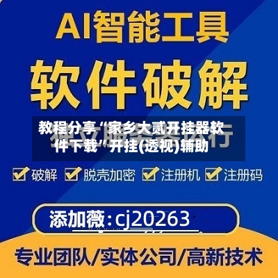 教程分享“家乡大贰开挂器软件下载”开挂(透视)辅助-第2张图片
