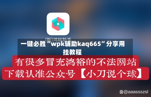 一键必胜“wpk辅助kaq665	”分享用挂教程-第2张图片