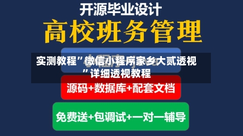 实测教程”微信小程序家乡大贰透视	”详细透视教程-第2张图片