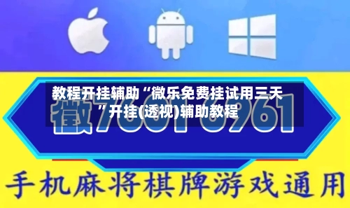 教程开挂辅助“微乐免费挂试用三天	”开挂(透视)辅助教程-第3张图片