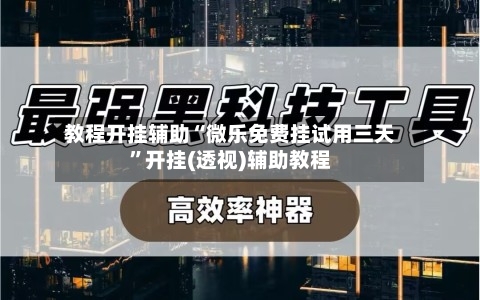 教程开挂辅助“微乐免费挂试用三天”开挂(透视)辅助教程-第2张图片