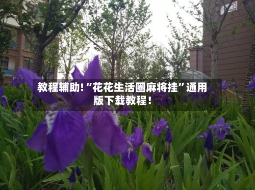 教程辅助!“花花生活圈麻将挂”通用版下载教程！-第1张图片