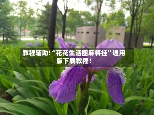 教程辅助!“花花生活圈麻将挂	”通用版下载教程！-第2张图片