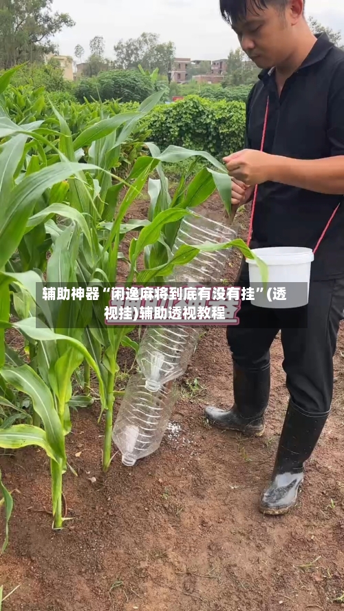 辅助神器“闲逸麻将到底有没有挂	”(透视挂)辅助透视教程-第1张图片