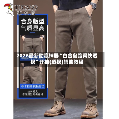 2026最新助赢神器“白金岛跑得快透视”开挂(透视)辅助教程-第2张图片