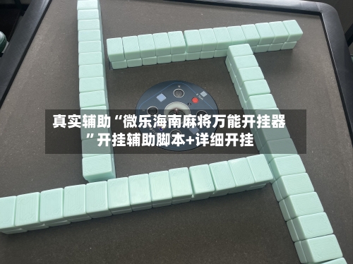 真实辅助“微乐海南麻将万能开挂器”开挂辅助脚本+详细开挂-第3张图片