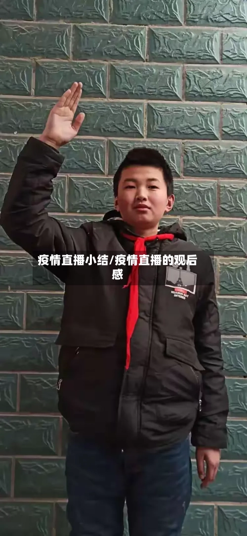 疫情直播小结/疫情直播的观后感-第2张图片